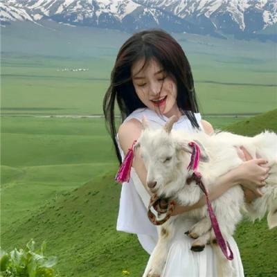 驴子巴达萨